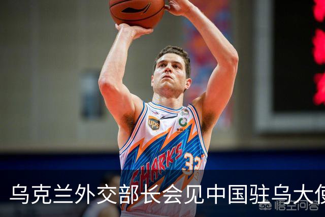 乌克兰外交部长会见中国驻乌大使，“感谢中方”