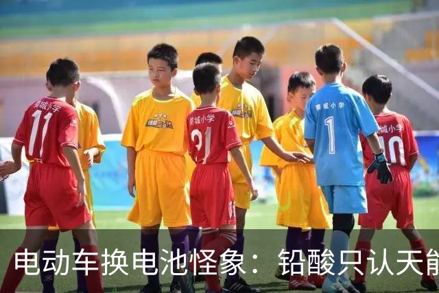 电动车换电池怪象：铅酸只认天能、超威，锂电为什么几乎没人选？